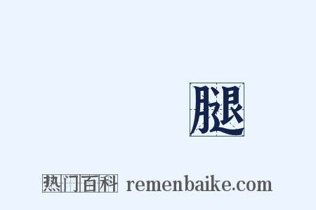 兩條腿是什么意思的图片